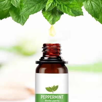 Pure Plant Extraction Imported Functional Fragrance Oil with Peculiar Smell Decomposition for Aroma Diffusers